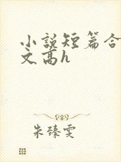 小说短篇合集爽文高h