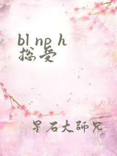 bl np h总受
