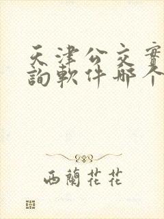 天津公交实时查询软件哪个好