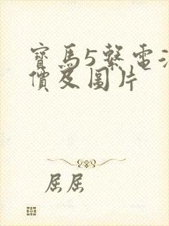 宝马5系电混报价及图片