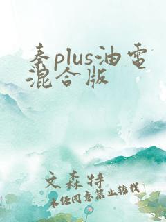 秦plus油电混合版