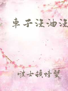 车子没油没电