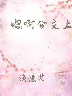 嗯啊公交上