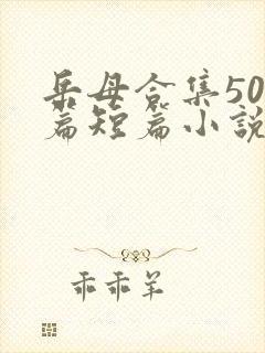 岳母合集500篇短篇小说