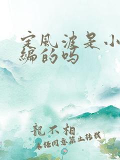 定风波是小说改编的吗