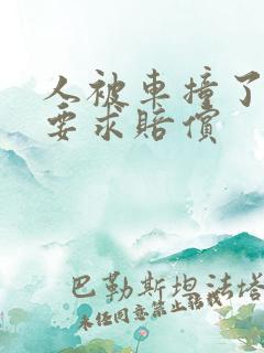 人被车撞了怎么要求赔偿