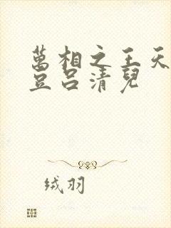 万相之王天蚕土豆吕清儿
