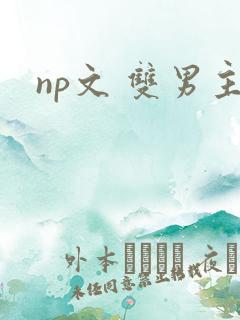 np文 双男主