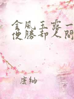 金风玉露一相逢便胜却人间无数表达了什么