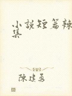 小说短篇辣文合集