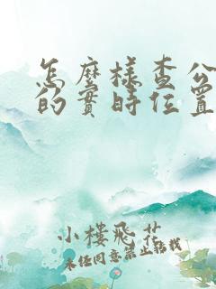 怎么样查公交车的实时位置