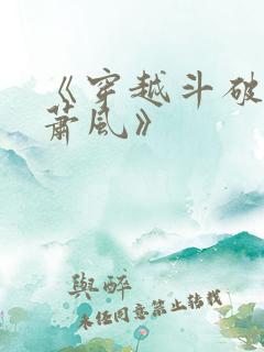 《穿越斗破名叫萧风》