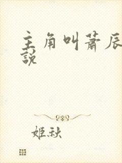 主角叫萧辰的小说