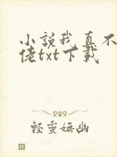 小说我真不是大佬txt下载