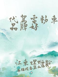 代驾电动车哪个品牌好 代驾电动车哪个品牌好