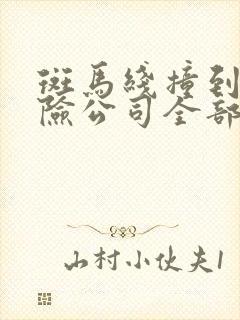 斑马线撞到人保险公司全部赔偿吗