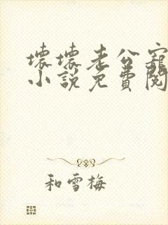 坏坏老公宠不停小说免费阅读 坏坏老公宠不停小说免费阅读