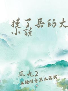 摸了岳的大乳奶小说