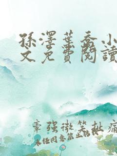 孙泽叶乔小说全文免费阅读最新章节