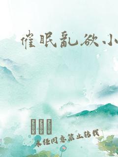 催眠乱欲小说