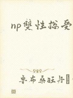 np双性总受文