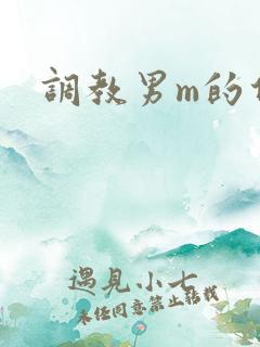 调教男m的任务