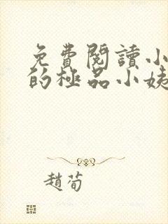 免费阅读小说我的极品小姨