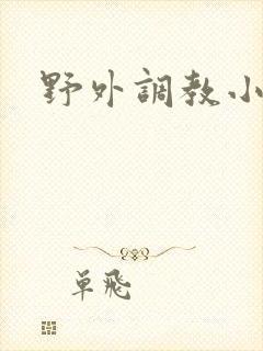 野外调教小说h