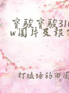宝骏宝骏310w图片及报价