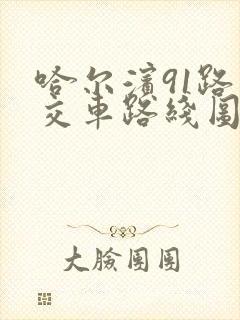 哈尔滨91路公交车路线图