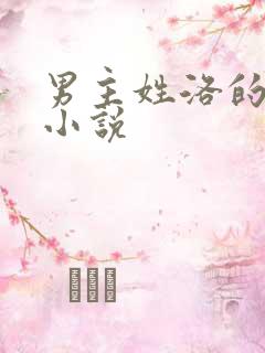 男主姓洛的玄幻小说