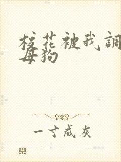 校花被我调教成母狗