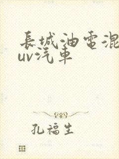 长城油电混动suv汽车