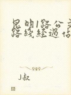 昆明1路公交车路线经过站点图