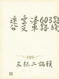 连云港603路公交车路线