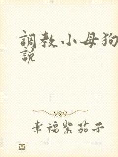 调教小母狗的小说