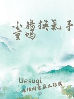 小肠换气手术严重吗 小肠换气手术严重吗