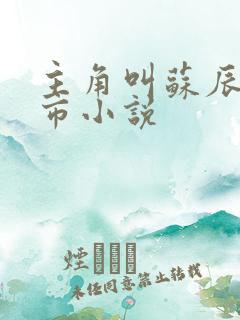 主角叫苏辰的都市小说