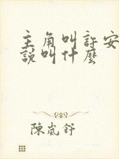 主角叫许安的小说叫什么