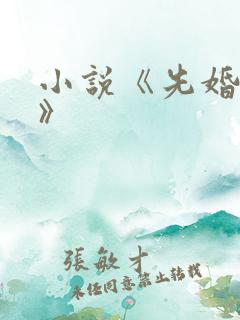 小说《先婚后爱》 小说《先婚后爱》