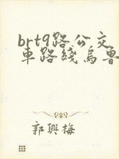 brt9路公交车路线乌鲁木齐