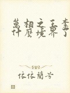万相之王李洛到什么境界了