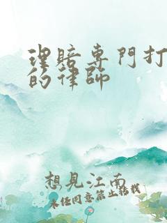 理赔专门打保险的律师 理赔专门打保险的律师