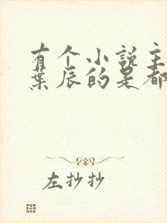有个小说主角叫叶辰的是都市什么小说