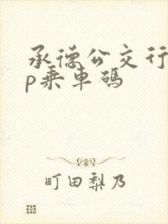 承德公交行app乘车码