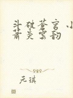 斗破苍穹 小说萧炎云韵