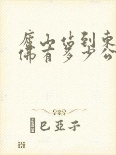 庐山站到东林大佛有多少公里,有公交车没