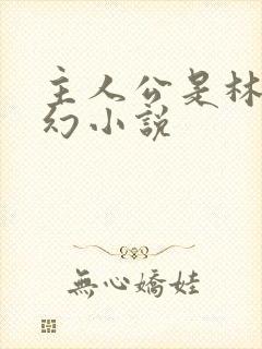 主人公是林天玄幻小说