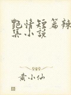 艳情短篇辣文合集小说 艳情短篇辣文合集小说