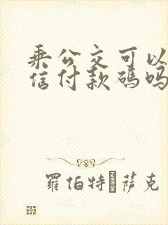 乘公交可以用微信付款码吗